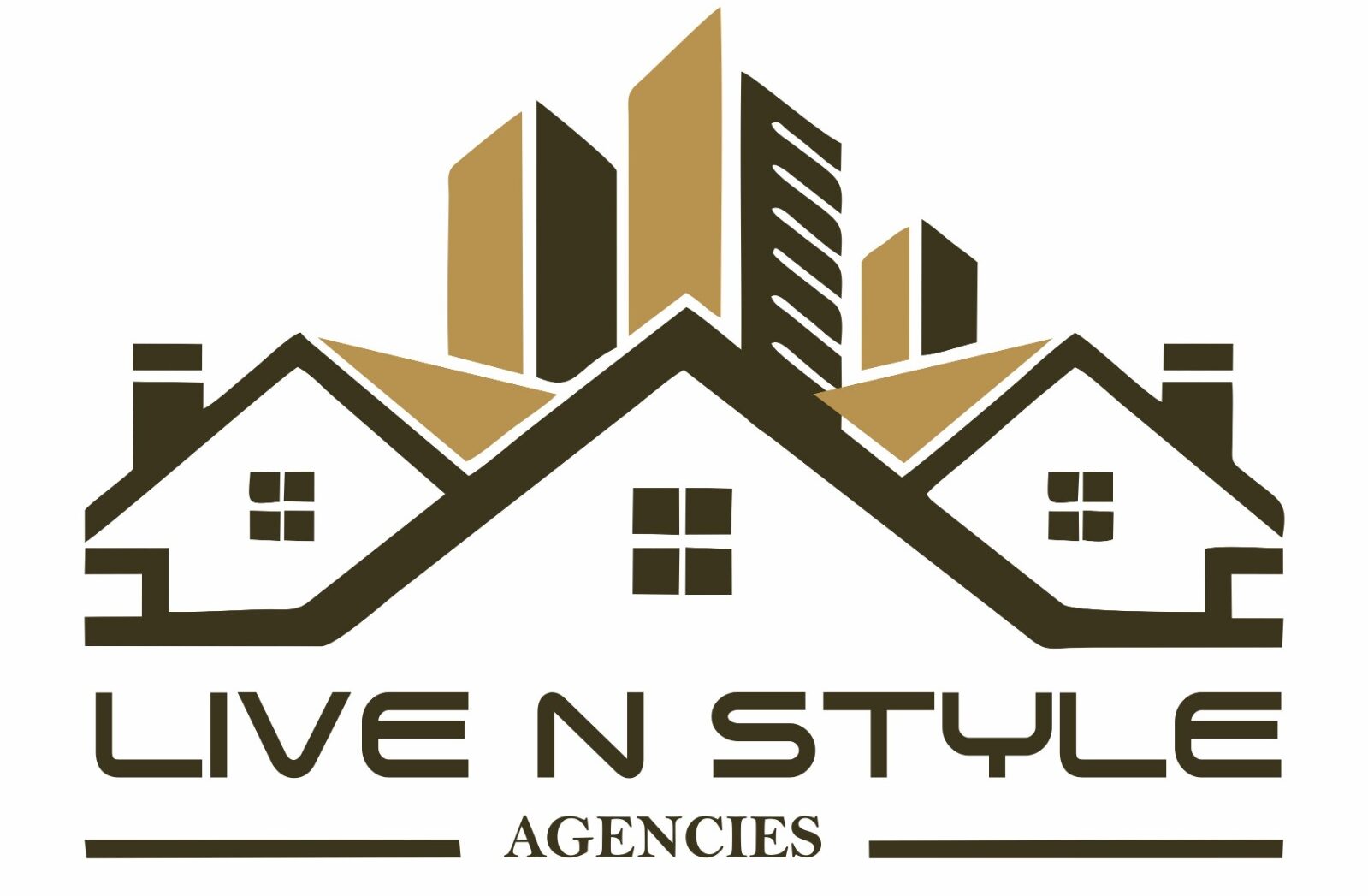 Live N Style Agencies Logo